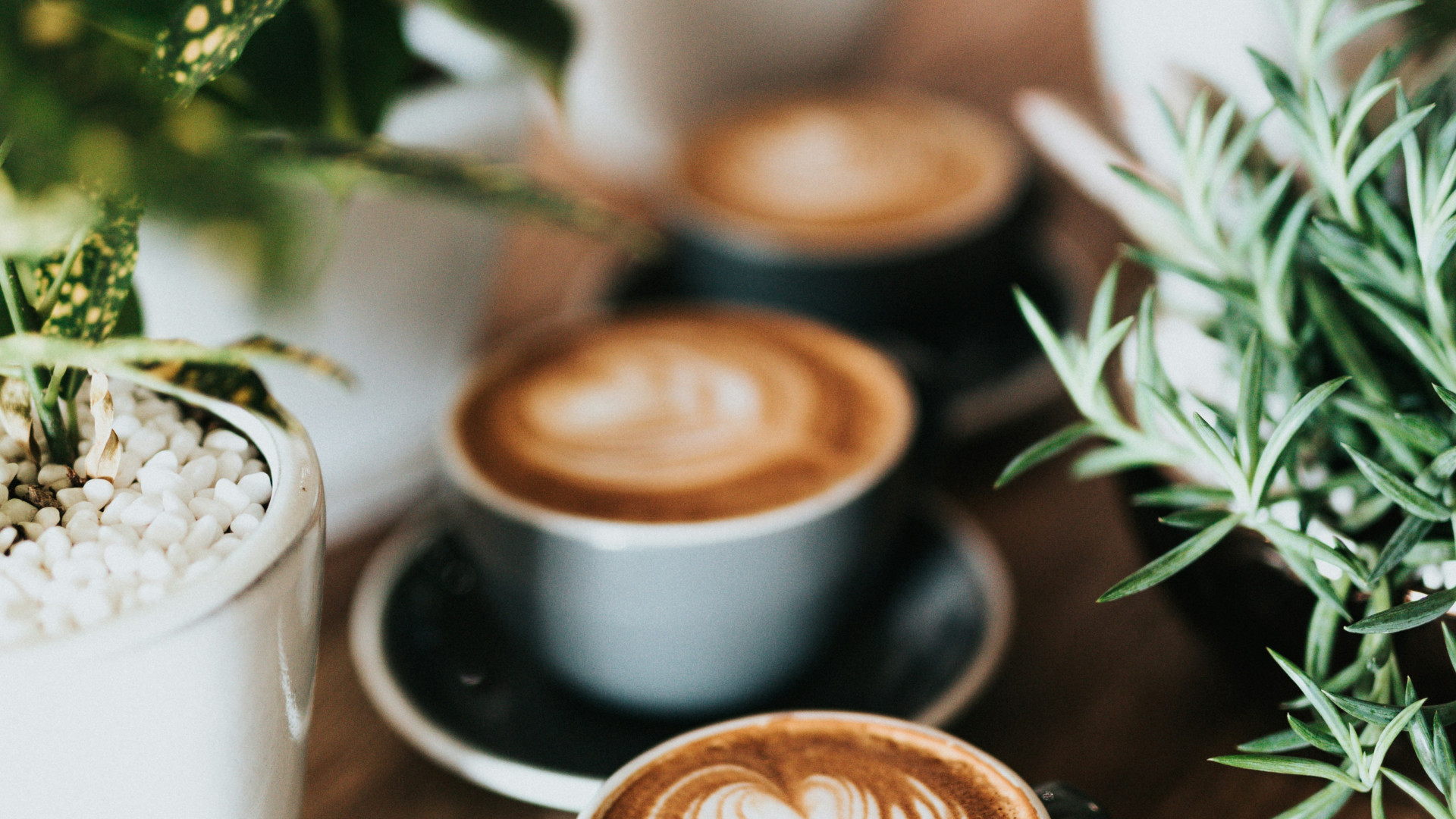 La machine à café en entreprise : pour le confort et la convivialité au travail